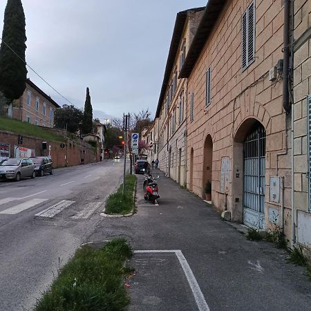 Monolocale Piccolominiuno Lägenhet Siena Exteriör bild